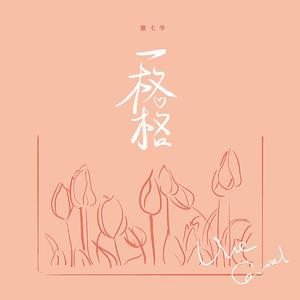 欧美猛哥午夜视频在线看
